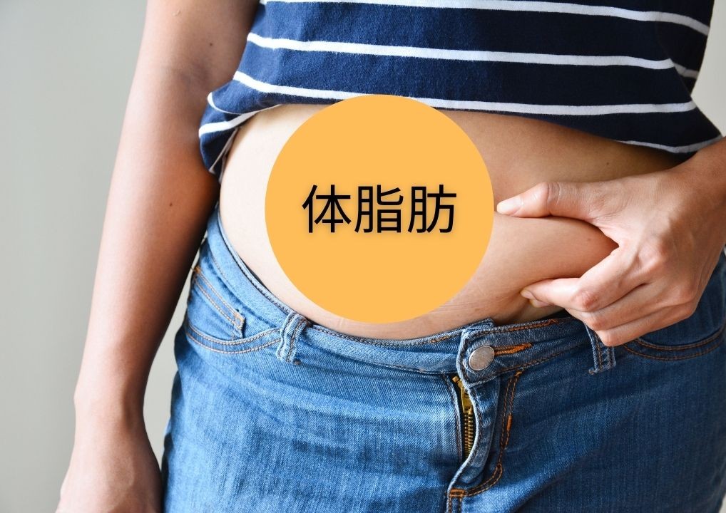 【40代の体型崩れ】体重は変わらないのに、太って見える4つの原因 40代からの脚痩せつくり 【40代の体型崩れ】体重は変わらないのに、太って見える4つの原因 40代からの脚痩せつくり